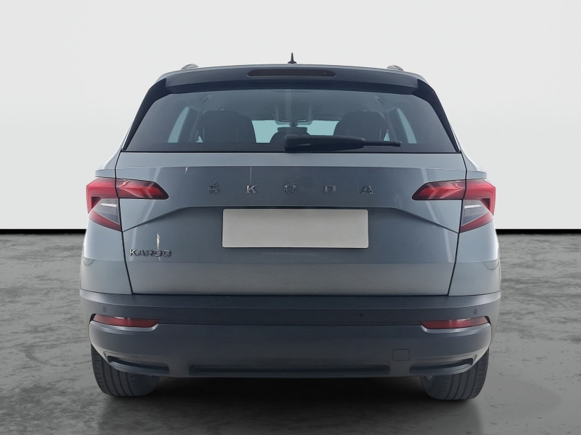Škoda Karoq, 2020