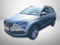 Škoda Karoq, 2020
