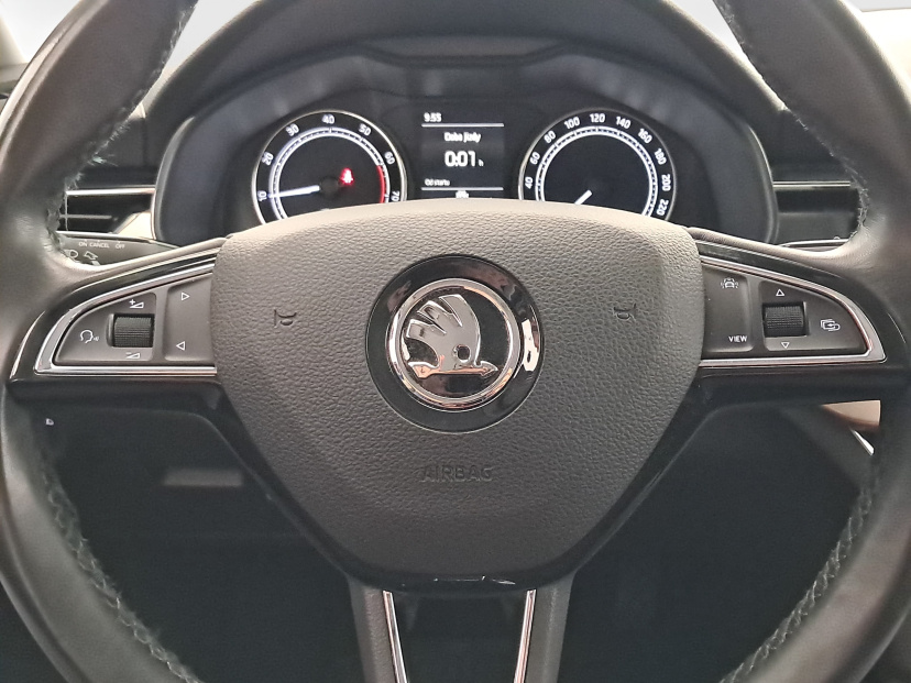 Škoda Scala, 2019