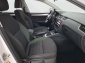 Škoda Octavia, 2019