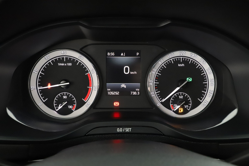 Škoda Karoq, 2020