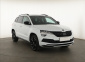 Škoda Karoq, 2020
