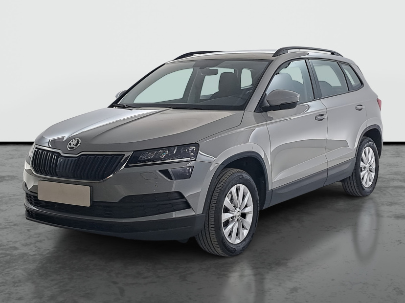 Škoda Karoq, 2021