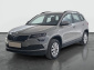 Škoda Karoq, 2021