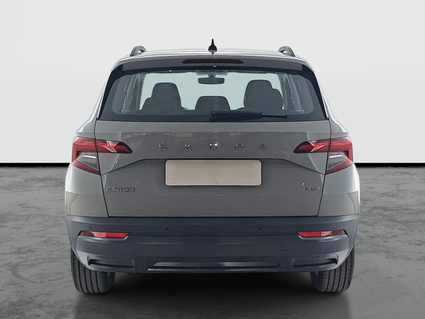 Škoda Karoq, 2021