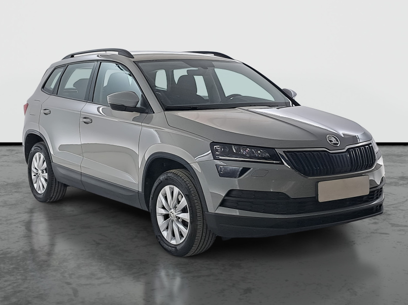Škoda Karoq, 2021
