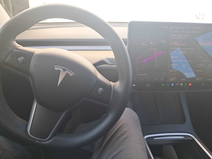 Tesla Model 3, 2021