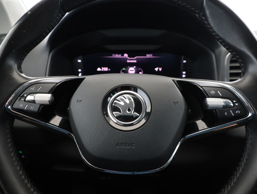 Škoda Karoq, 2021