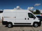 Peugeot Boxer, 2021