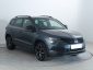 Škoda Karoq, 2021