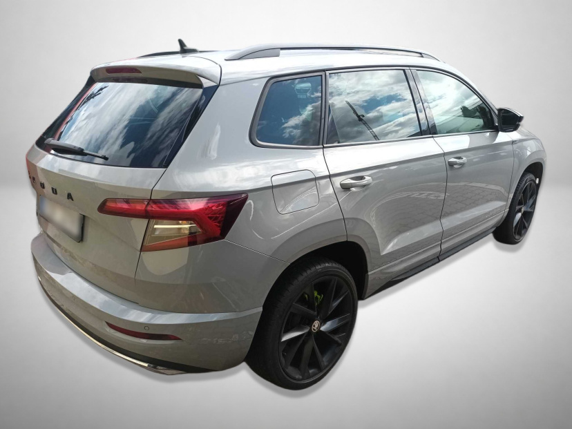 Škoda Karoq, 2020