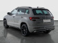 Škoda Karoq, 2020
