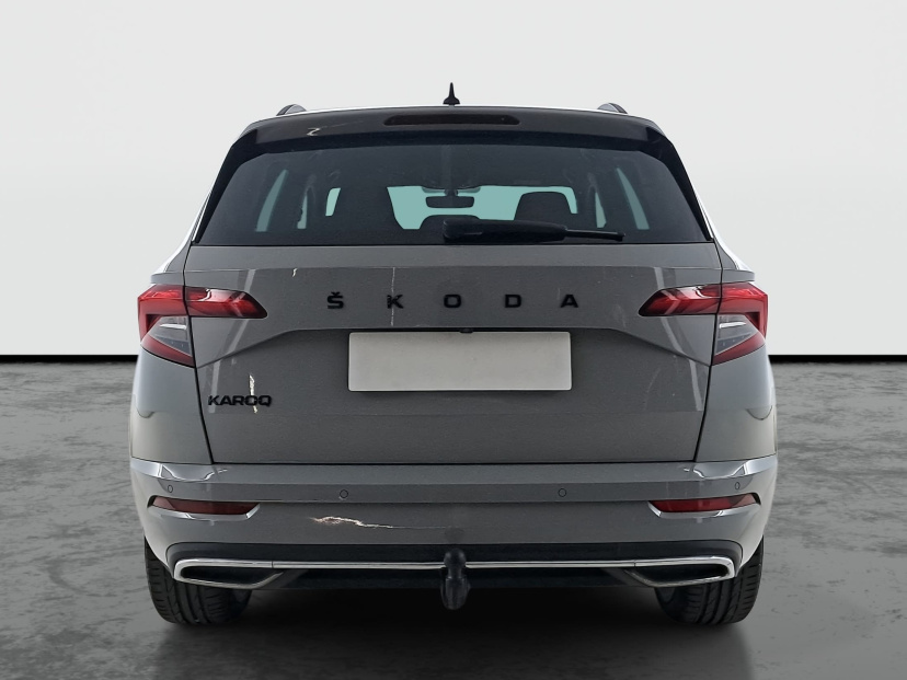 Škoda Karoq, 2020