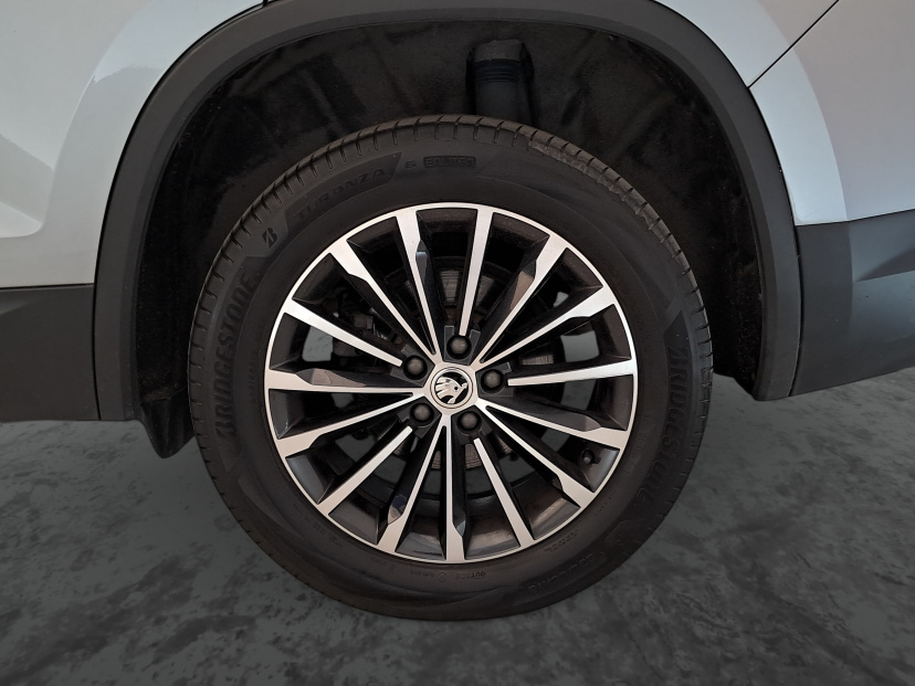 Škoda Kodiaq, 2019