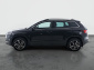 Škoda Karoq, 2021