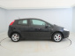 Fiat Punto, 2009