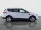 Ford Kuga, 2015