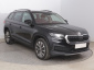 Škoda Kodiaq, 2021