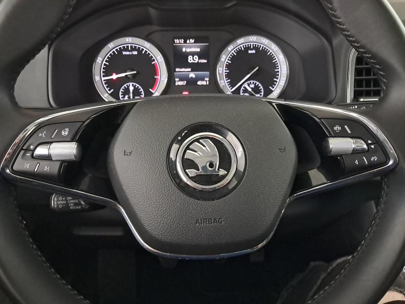 Škoda Karoq, 2021