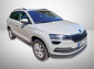 Škoda Karoq, 2021