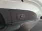 Ford Focus, 2020
