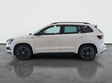 Škoda Karoq - 2024