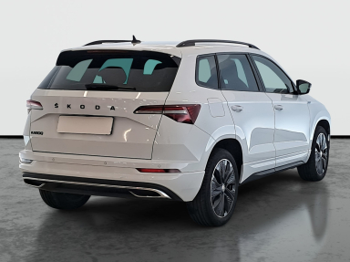 Škoda Karoq - 2024
