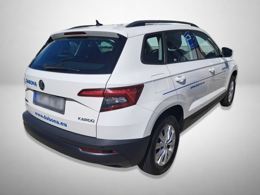 Škoda Karoq, 2019