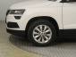 Škoda Karoq, 2019