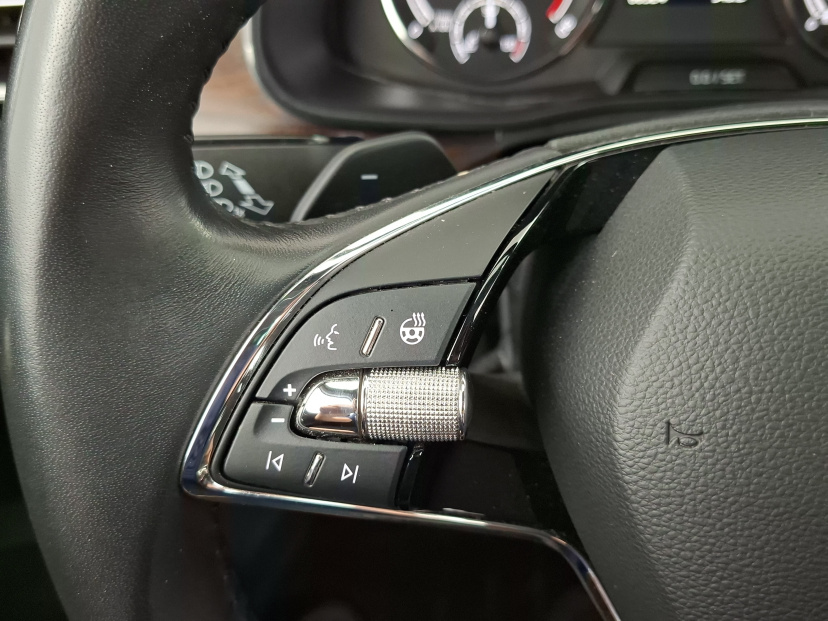 Škoda Kamiq, 2022