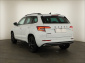 Škoda Karoq, 2021