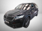Škoda Kodiaq, 2019