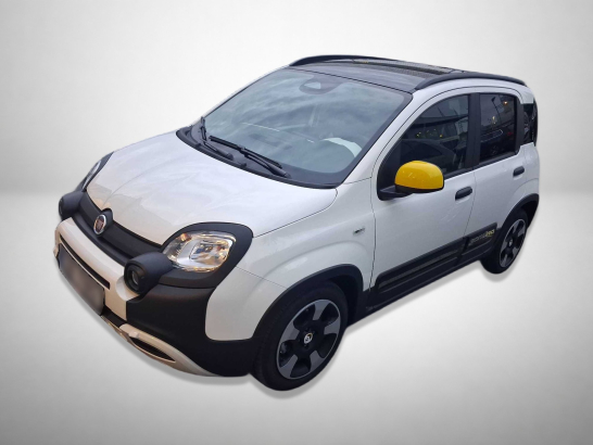 Fiat Panda 1.0 FireFly
