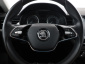 Škoda Kamiq, 2021