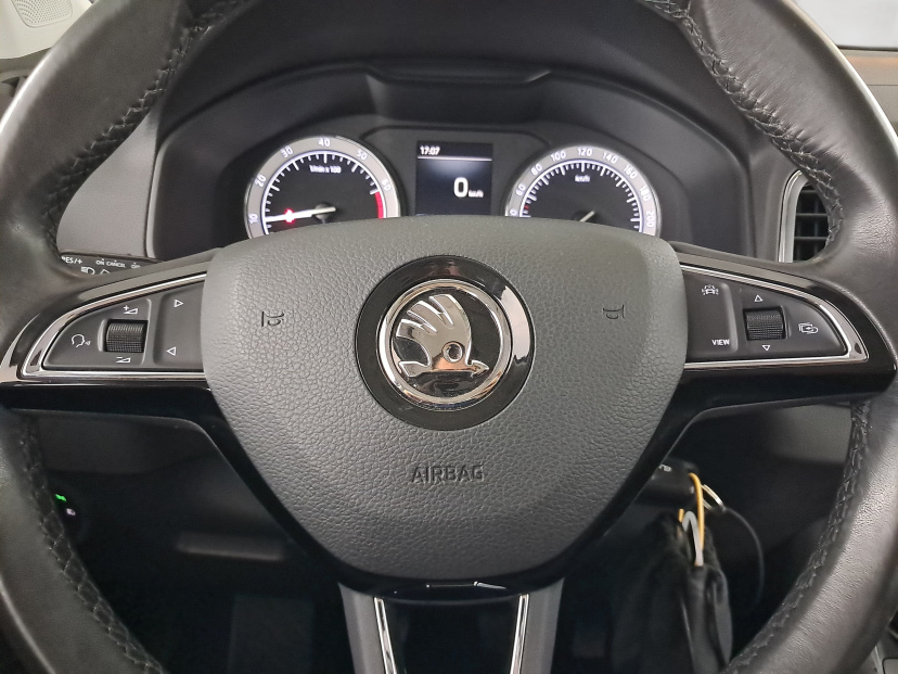 Škoda Karoq, 2020