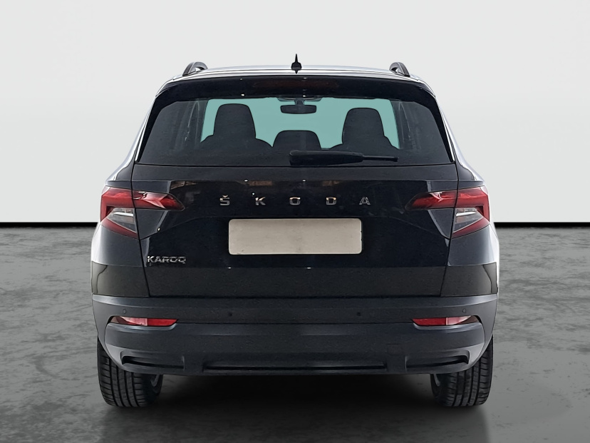 Škoda Karoq, 2020
