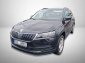 Škoda Karoq, 2020