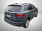 Škoda Karoq, 2020