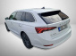 Škoda Octavia, 2021