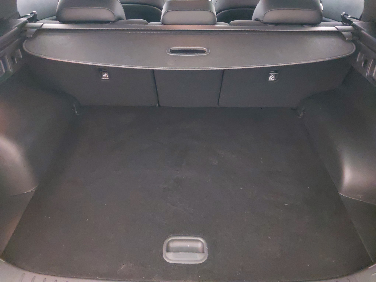 Kia Sportage - 2024