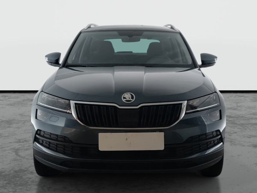 Škoda Karoq, 2020