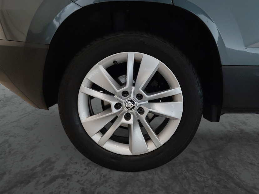Škoda Karoq, 2020