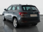 Škoda Karoq, 2020