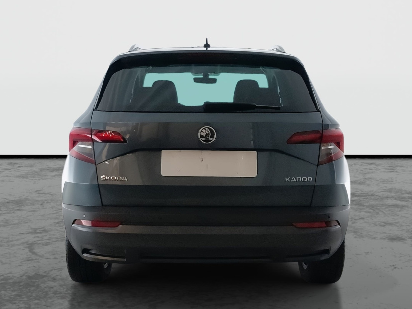 Škoda Karoq, 2020