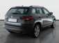 Škoda Karoq, 2020