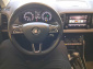 Škoda Karoq, 2019