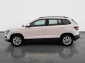Škoda Karoq, 2019