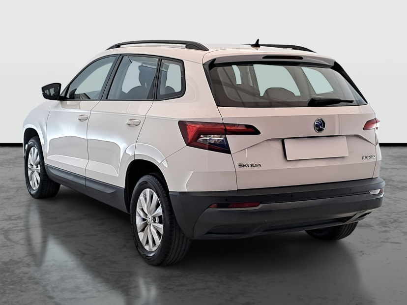 Škoda Karoq, 2019
