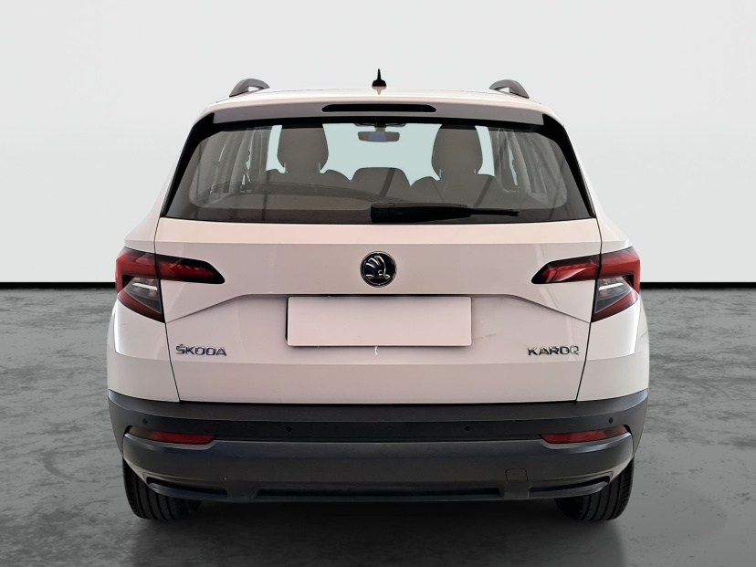 Škoda Karoq, 2019