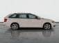 Škoda Octavia, 2019